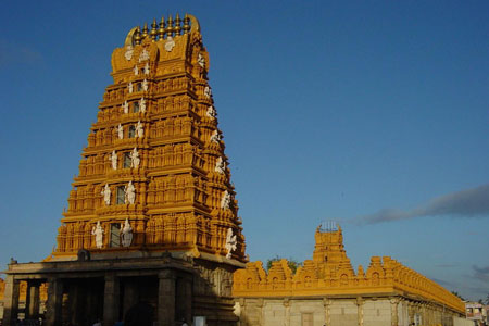 Sri Venkateshwara Package Nanjangud Bandipur Madumalai 